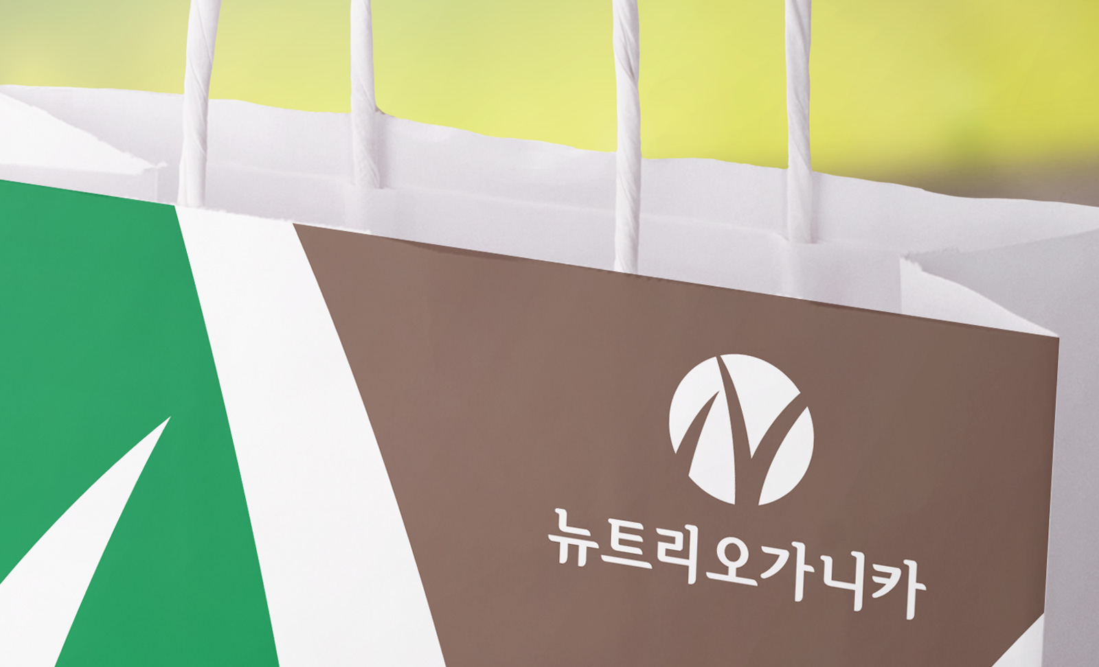 이미지 이미지